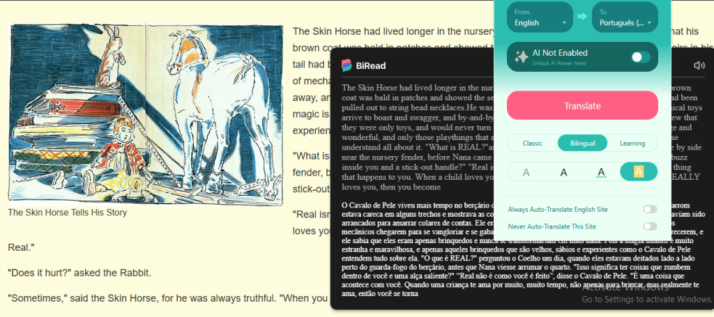 TRANSLATE PORTUGUESE BRAZILIAN TO ENGLISH visual data 4